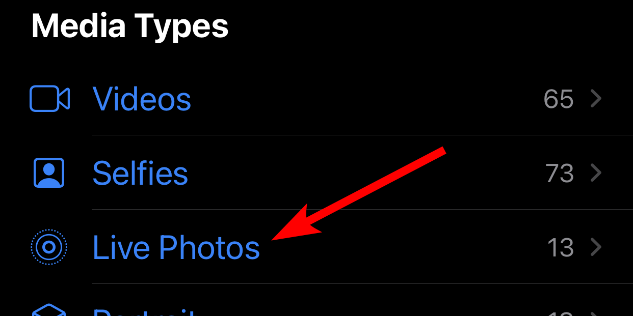 Navigating to "Live Photos" on iPhone.