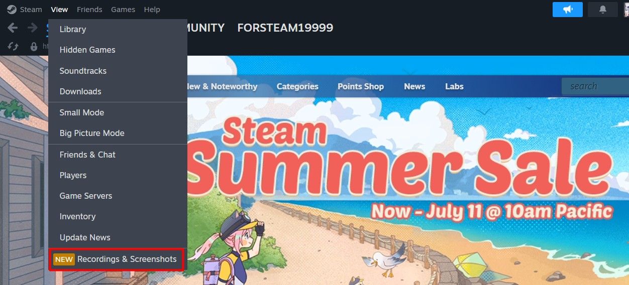 Recordings & Screenshots option in the Steam Client.