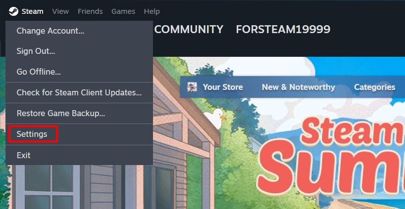 Settings option in the Steam Client.