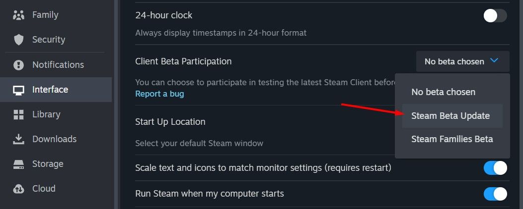 Steam Beta Update option in Steam Settings.