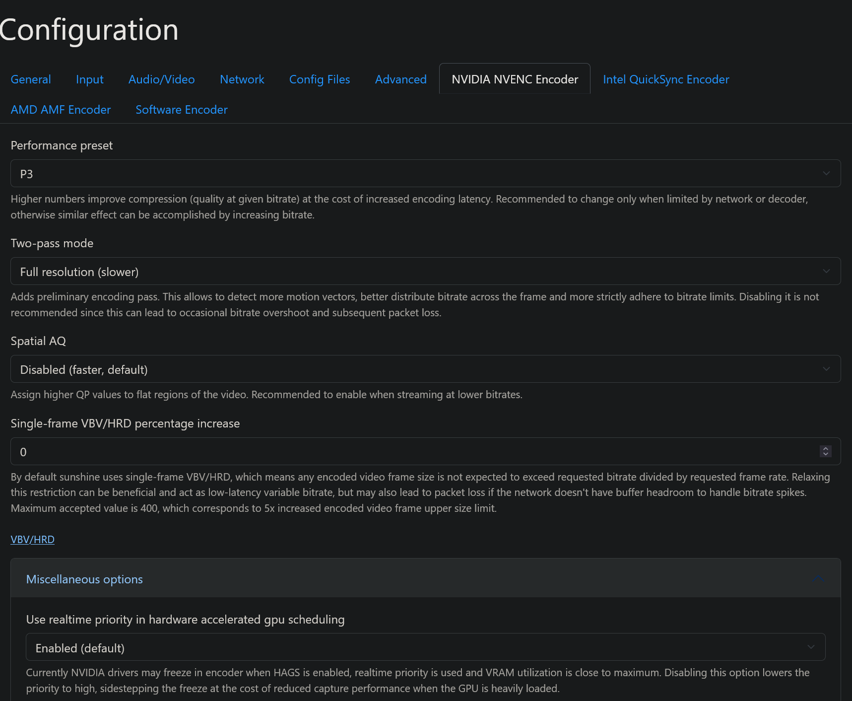 Sunshine web UI video options.
