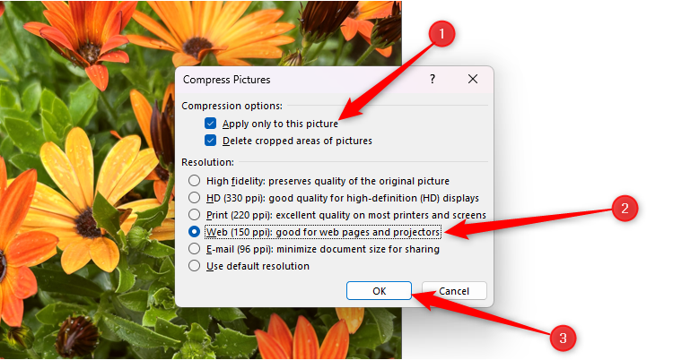 The Compress Pictures dialog box in Word, with Apply Only To This Picture and Web (150 PPI) selected.