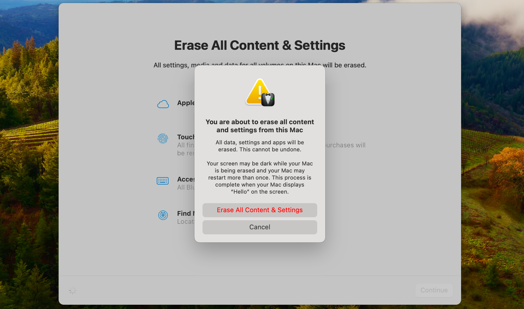 The screen to confirm that you should erase all your content.