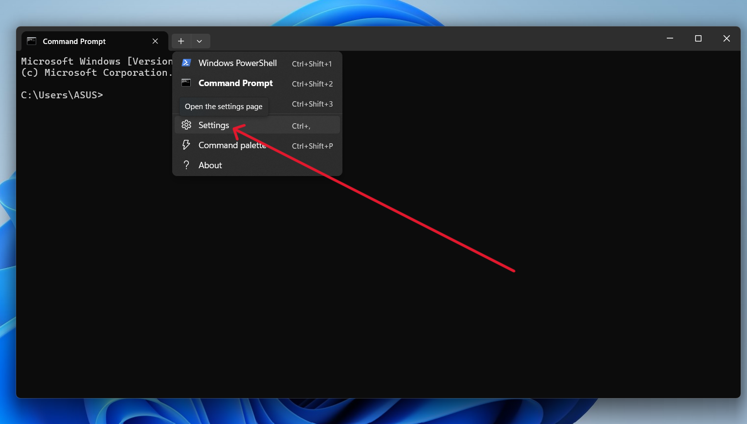 Opening Windows Terminal settings