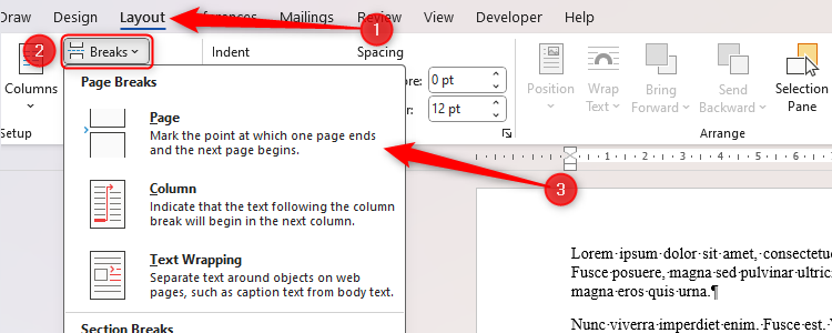 Word's Page Break option in the Layout tab.