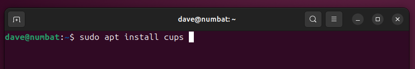 Installing the cups suite of applications on Ubuntu.