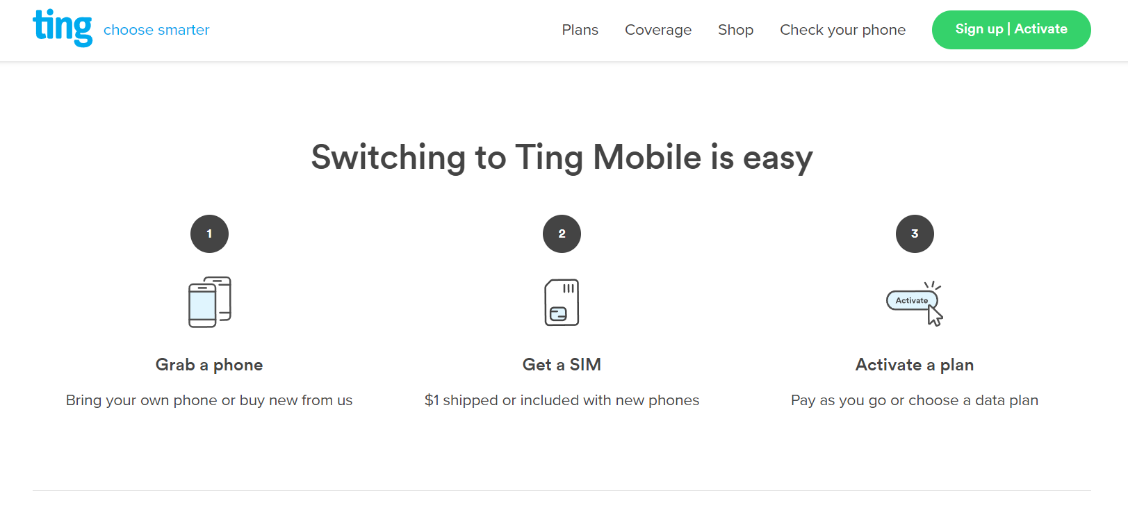 A screenshot of Ting Mobile's switching guide.