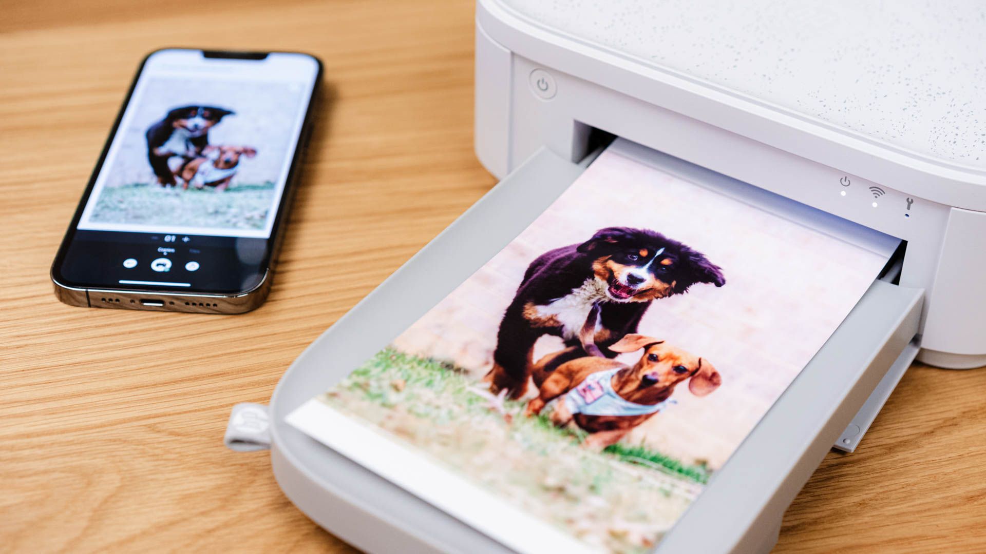 Leading Quick Image Transfer Printer Models of 2024