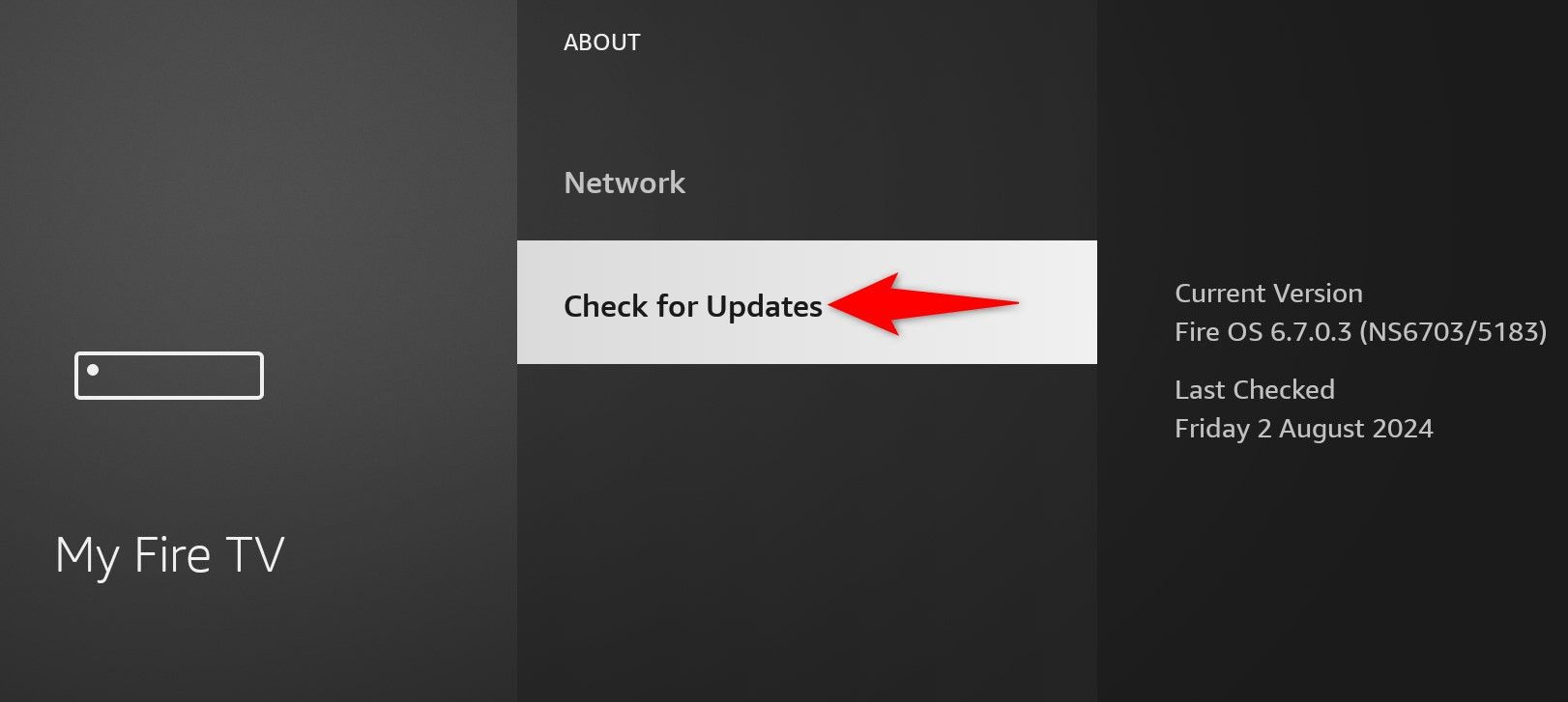 'Check for Updates' highlighted on a Fire TV Stick.