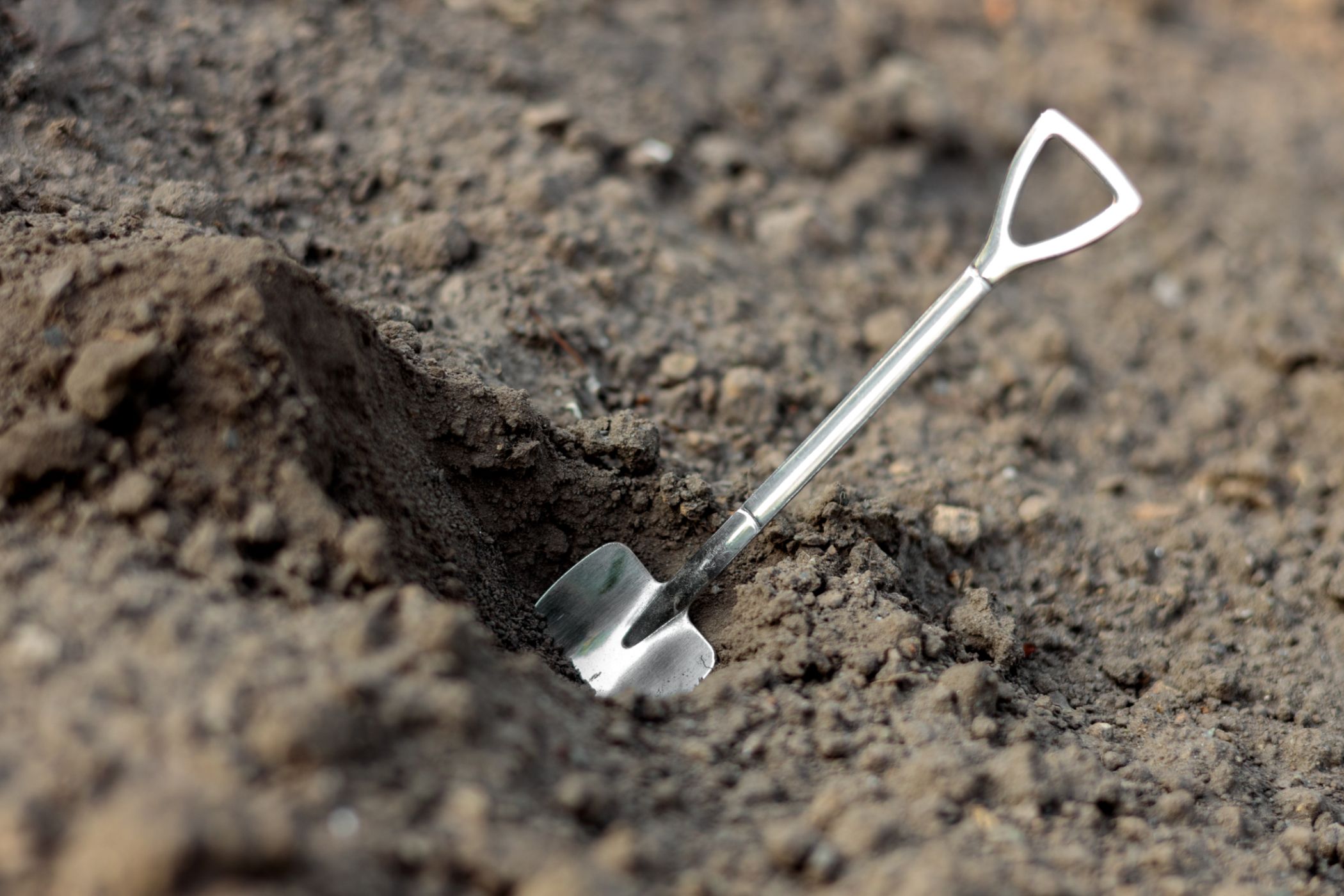 A small shovel stuck in the ground.