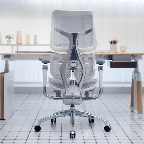 Sihoo Doro S300 Chair