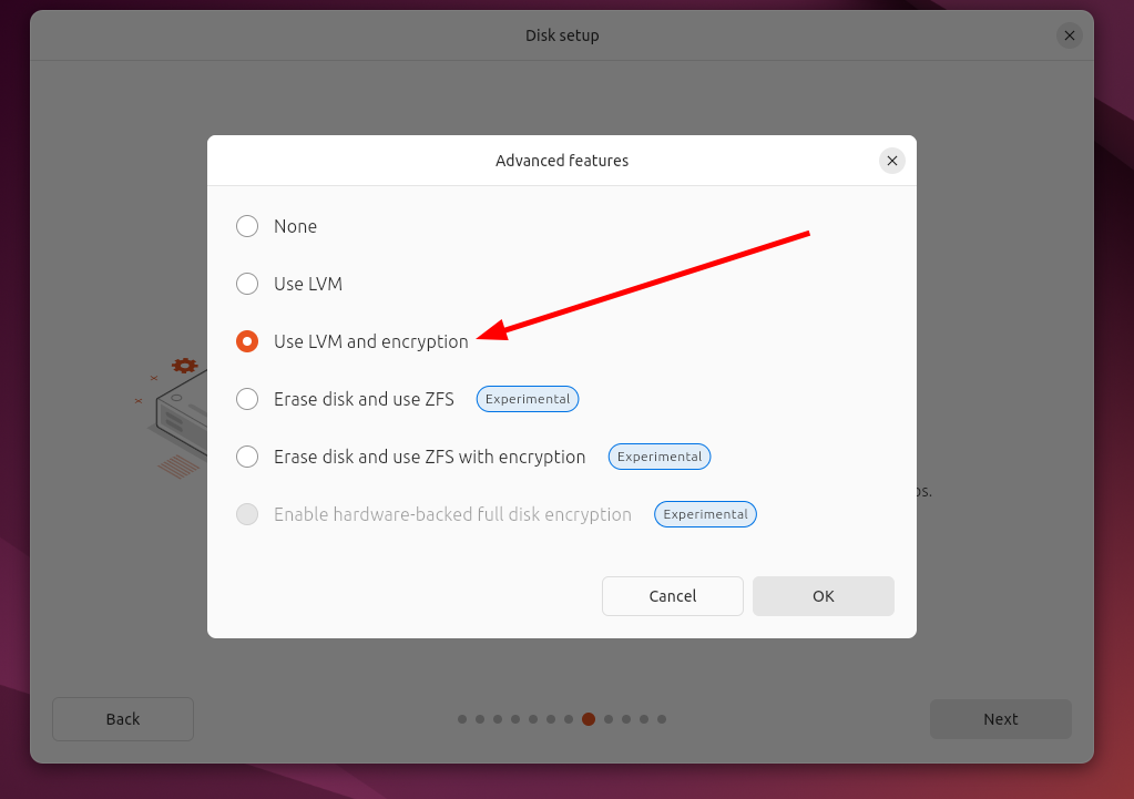 Different disk setup options displayed during Ubuntu installation.