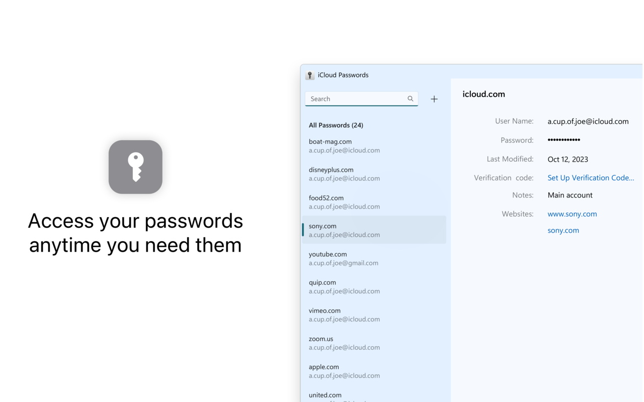 iCloud Passwords screenshot