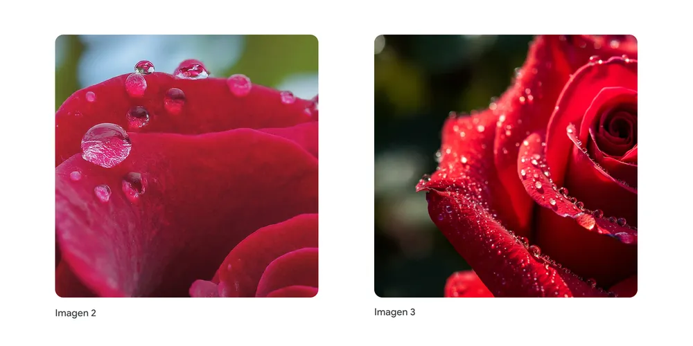 Comparison between Imagen 2 and Imagen 3 with a flower image.