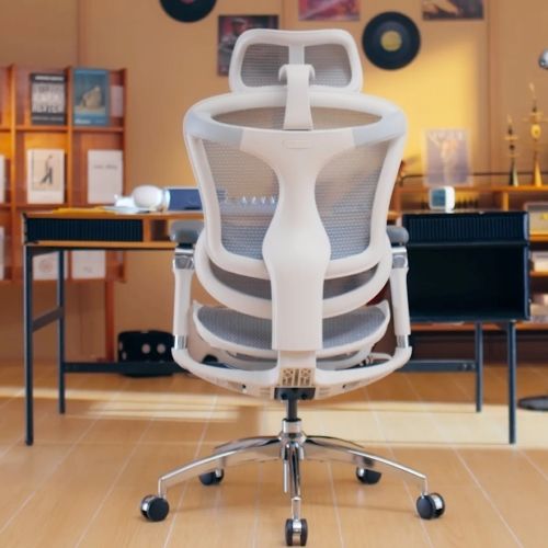 Sihoo Doro C300 Pro Chair