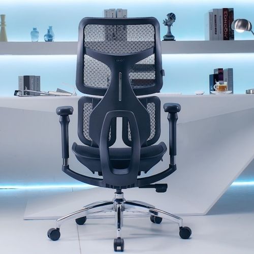 Sihoo Doro S100 Chair