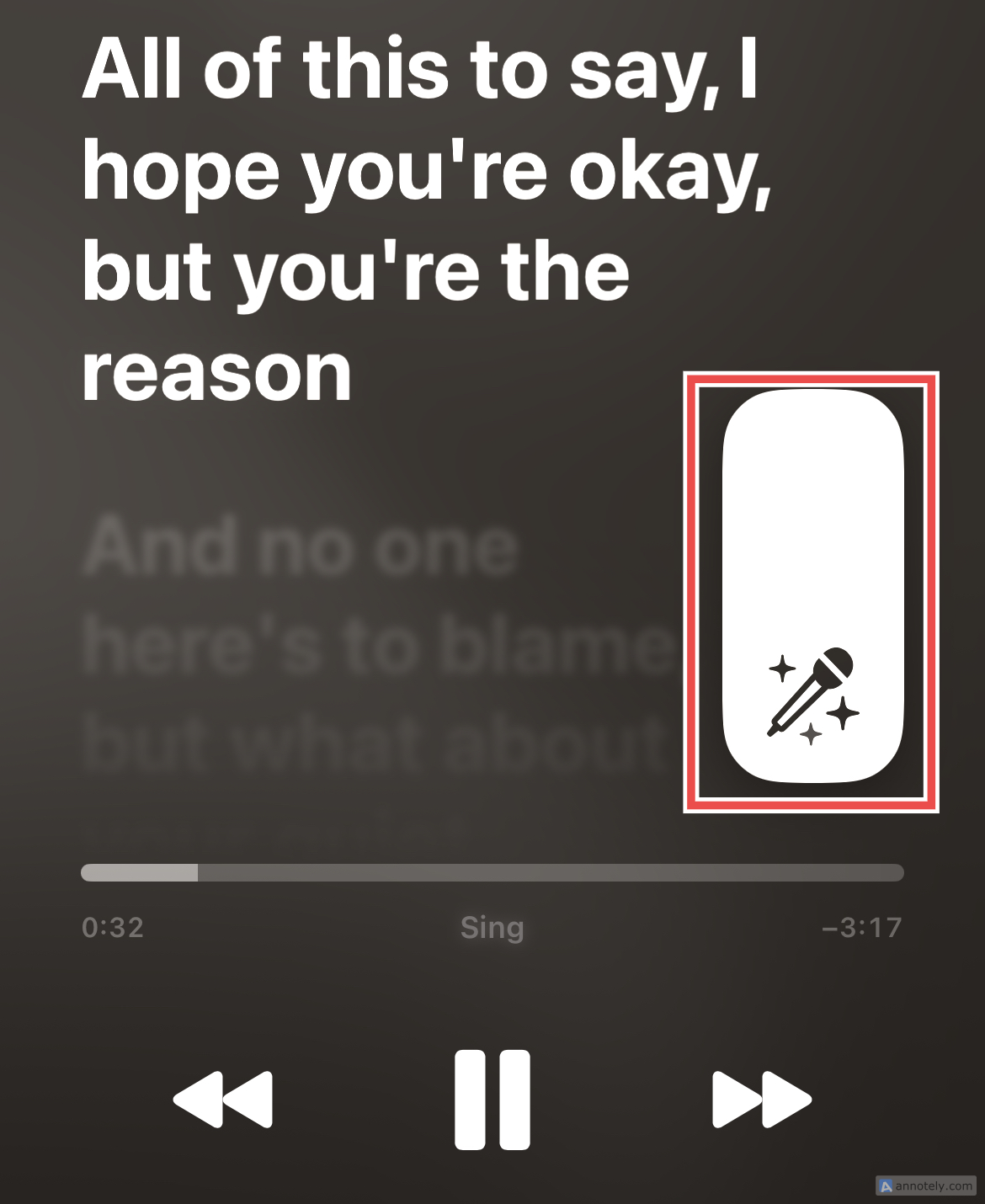 A button for Apple Music Sing.