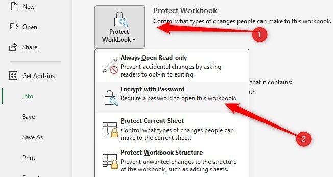 Password-protecting an Excel spreadsheet.