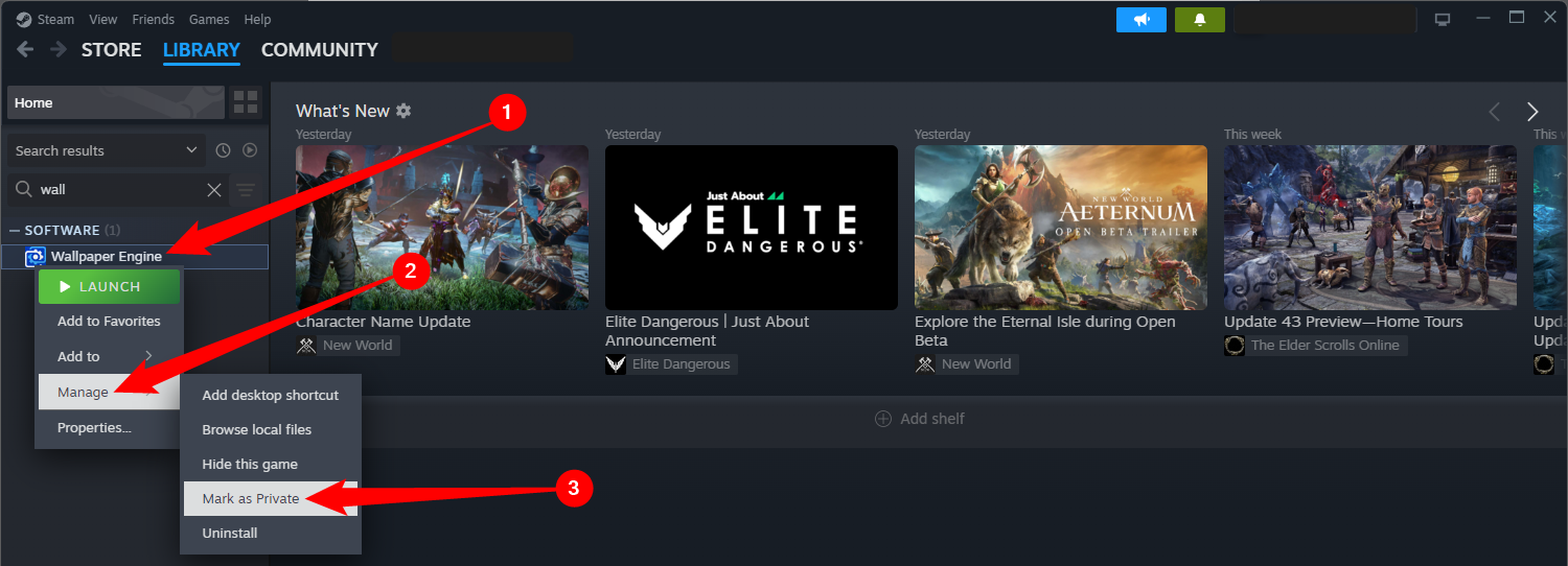 Right-click the game, select 'Manage,' then click 'Mark as Private.'