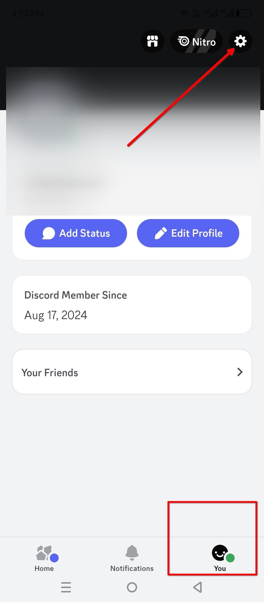 Discord settings on mobile.