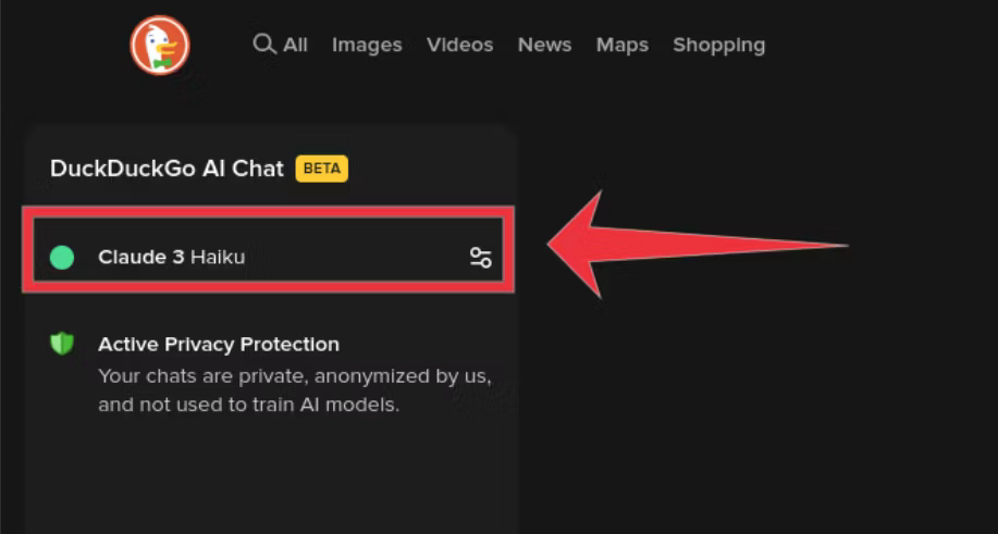 Selecting an AI model in DuckDuckGO cropped