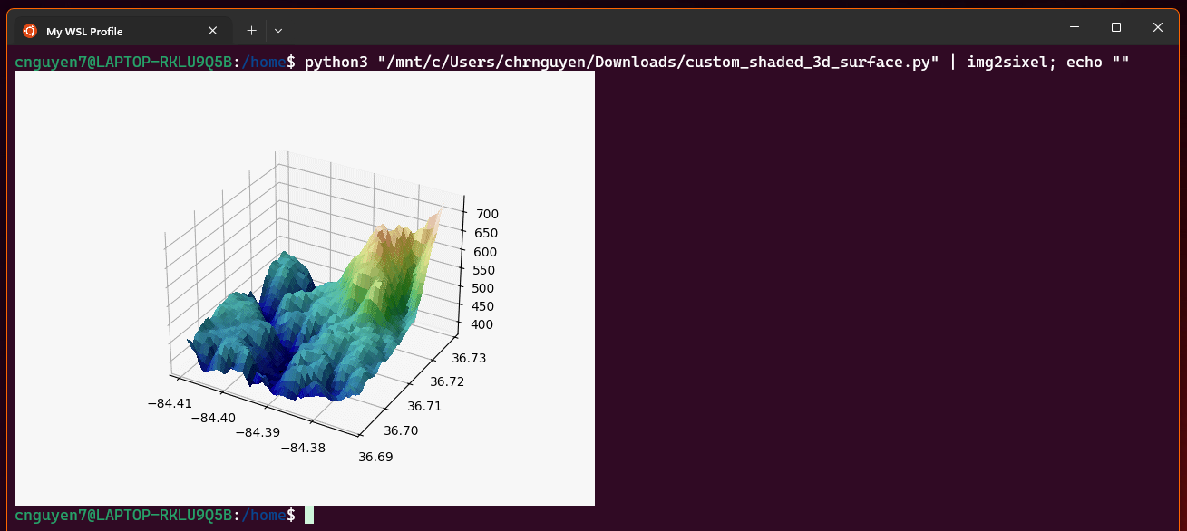 A graph image inside a terminal window in Windows.