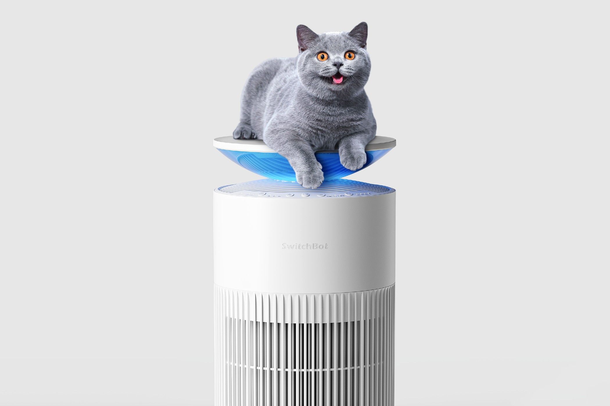 Switchbot air purifier with cat on top