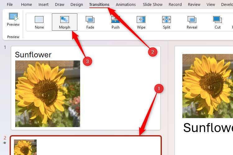 The morph transition in PowerPoint being applied to slide 2 via the Transitions tab.