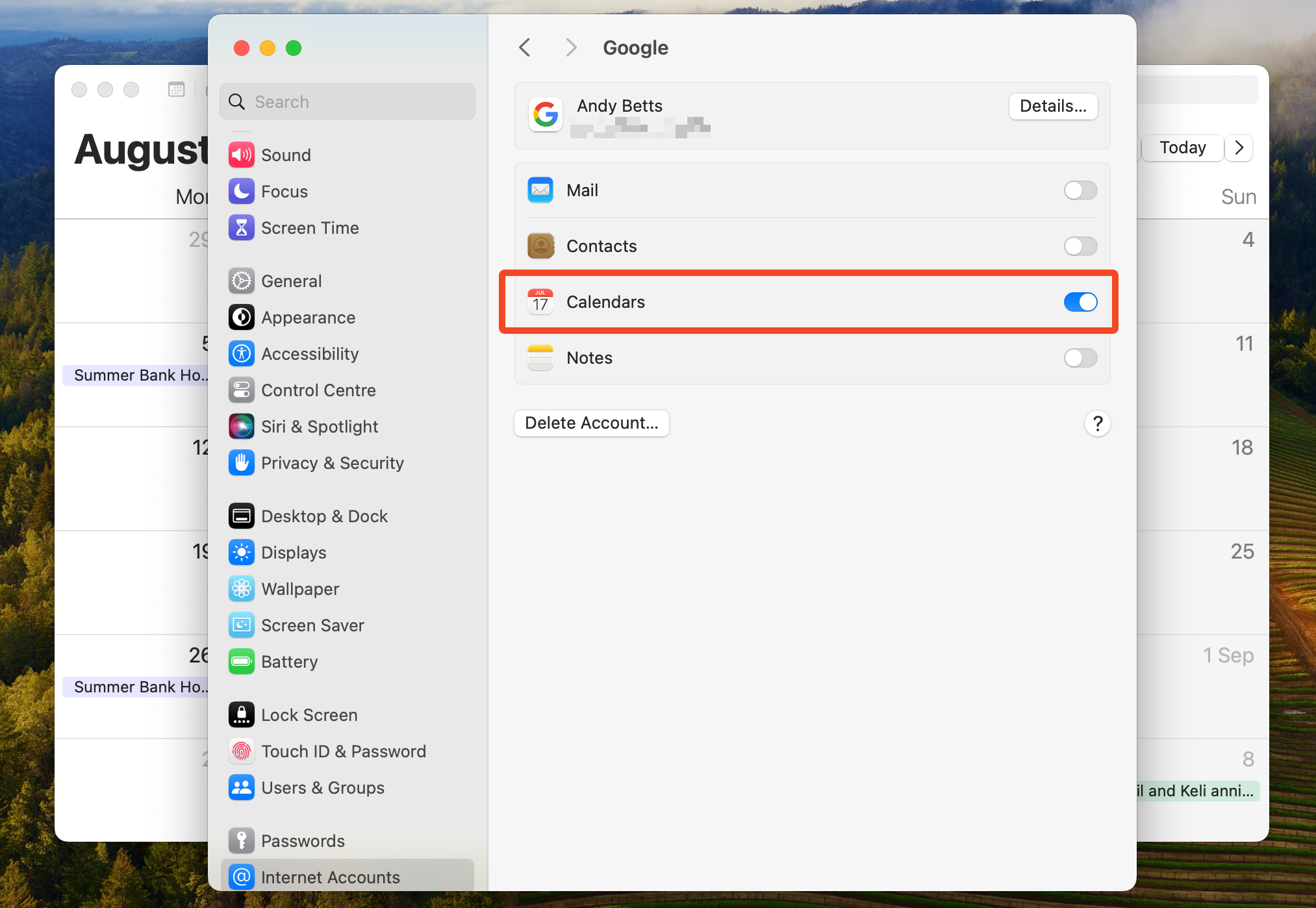 The setting for syncing Google Calendar with the Mac Calendar app.