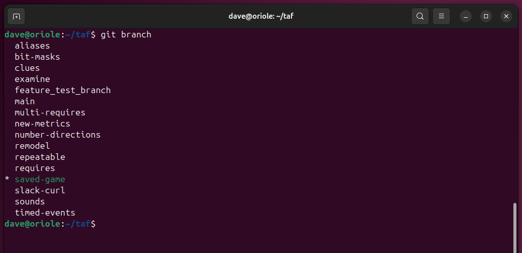 Using the git branch command to list the branches in the current repository, with the current branch flagged with an asterisk.