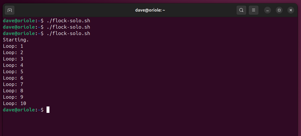 Three unsucessful and one successful launches of the flock-solo.sh script.