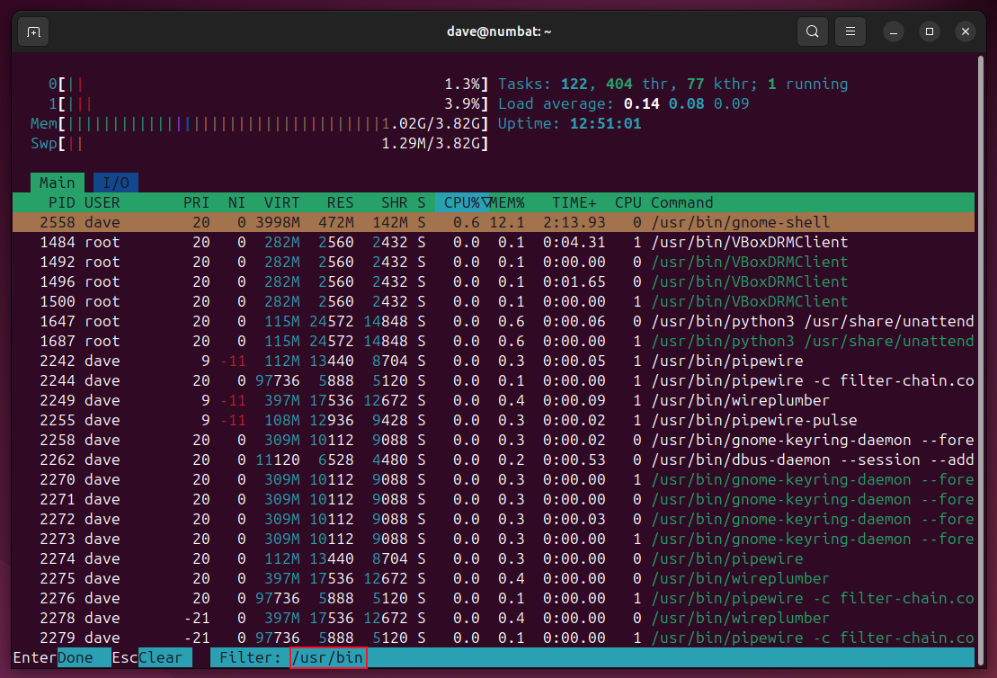 Using the filter function in htop.