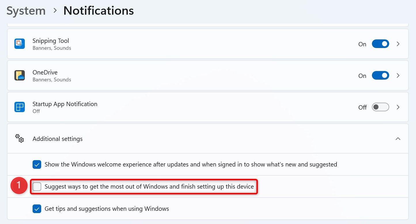 'Change Windows Optimum Access Options and Finish Installing This Tool' displayed in the settings.