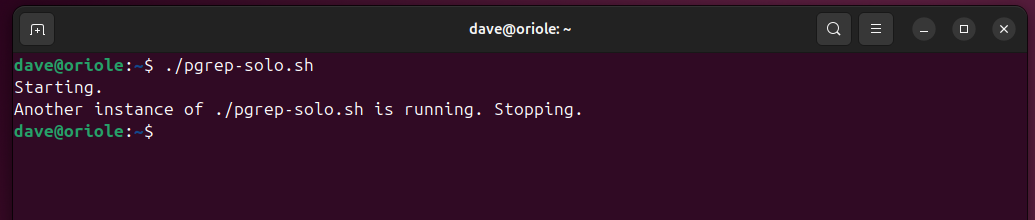 Running the pgrep-solo.sh script when another instance is already running.