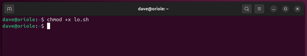 Using the chmod command to make the lo.sh script executable.