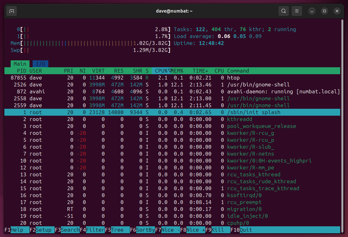 A process selected in the htop process screen.