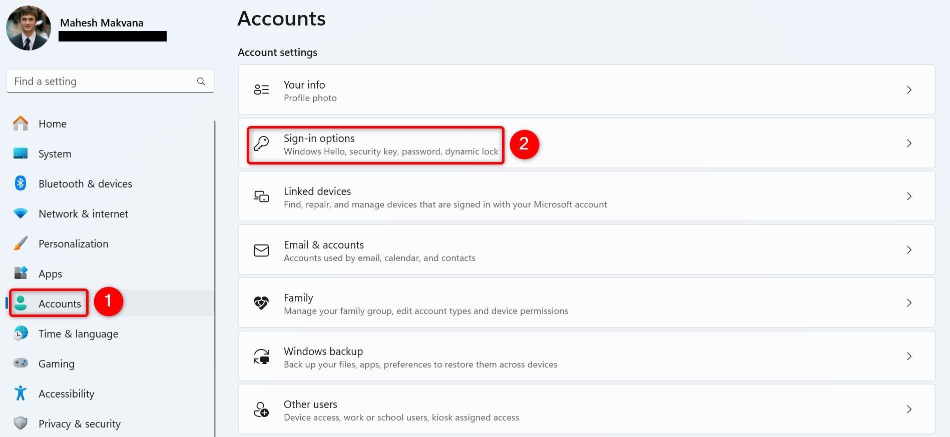 'Accounts' and 'Sign-In Options' highlighted in Windows 11 Settings.