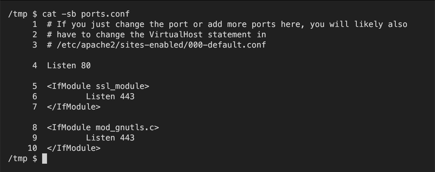 Sample output from the cat -sb command which compresses empty lines and numbers non-empty lines.