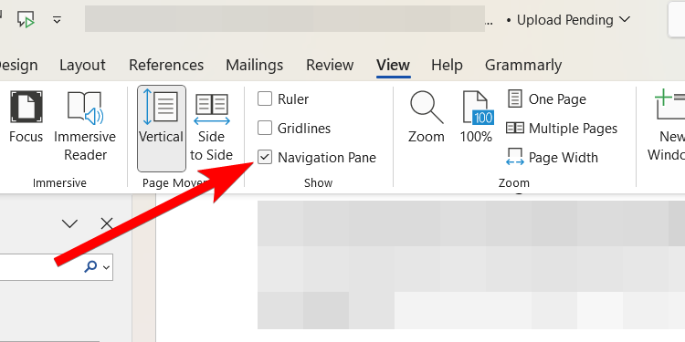 The "Navigation Pane" checkbox in Microsoft Word.