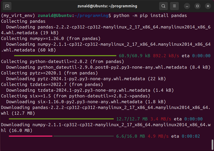 Installing the pandas Python package inside the Virtual Environment on Linux.