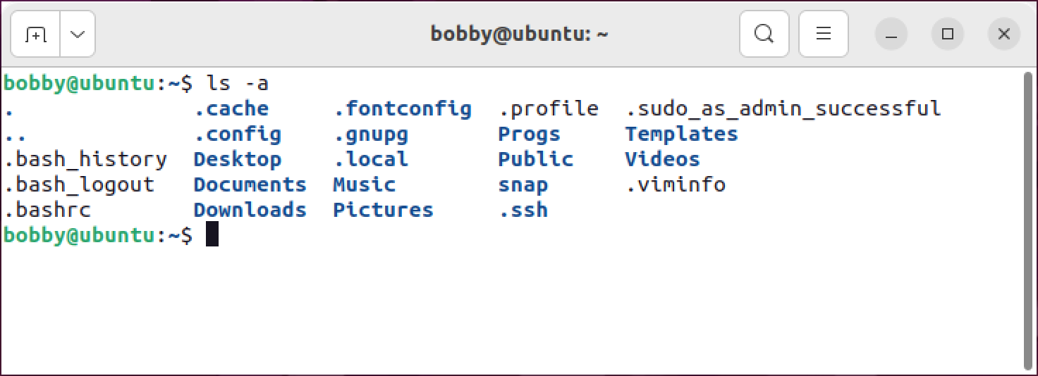 A list of files in a terminal, many of which are hidden files whose name begins with a period.