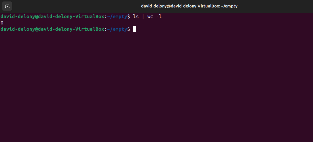 Output in Linux terminal of ls command piped into wc, with no output.
