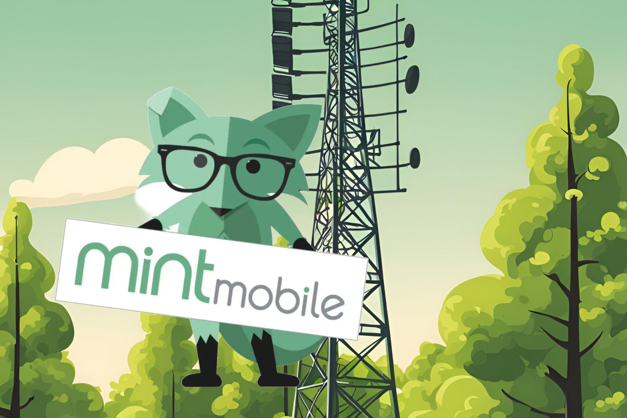 What Network Does Mint Mobile Use?