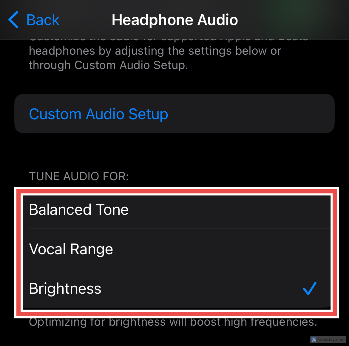 Tune Audio in Headphone Audio settings on iPhone.