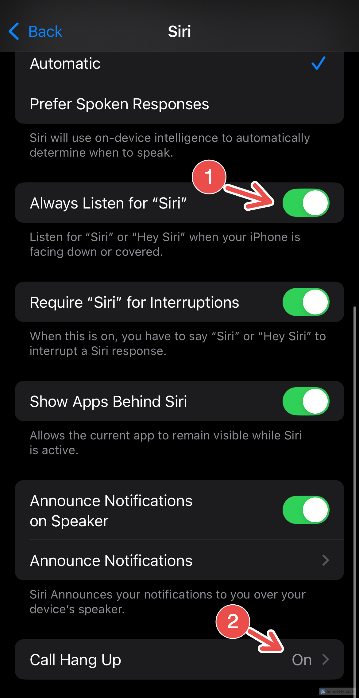 Siri controls in Accessibility for Call Hang Up.