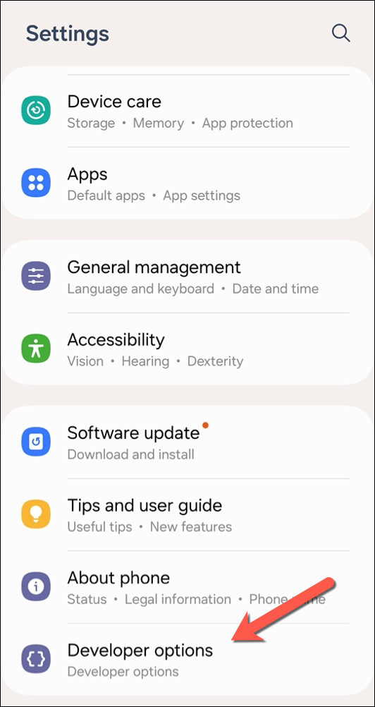 In the Samsung Galaxy settings menu, tap Developer Options at the bottom.