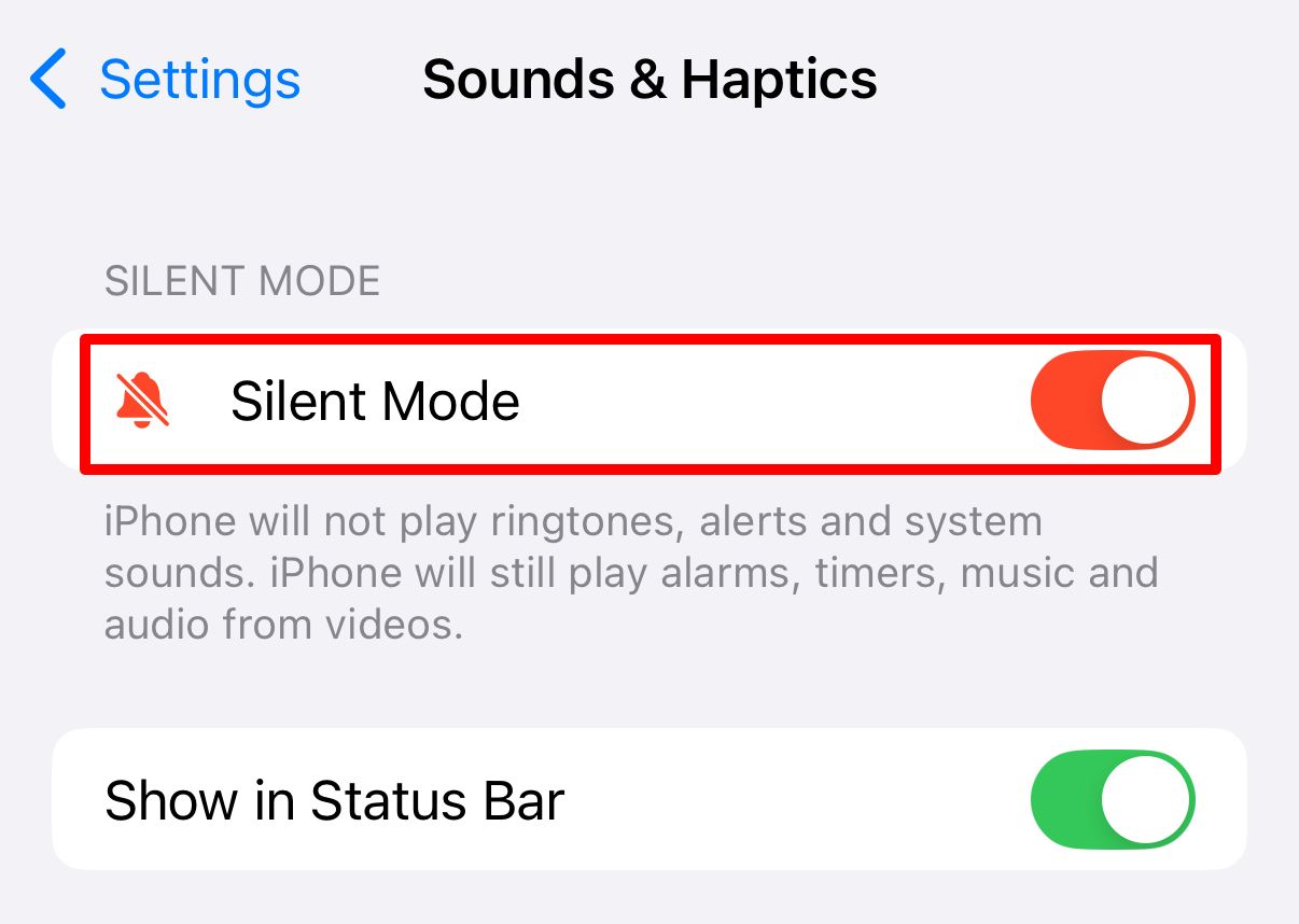 Silent Mode option in iPhone Sounds & Haptics settings.