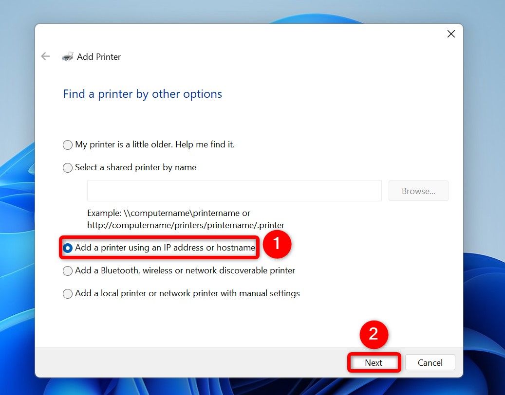 'Add a Printer Using an IP Address or Hostname' and 'Next' highlighted.