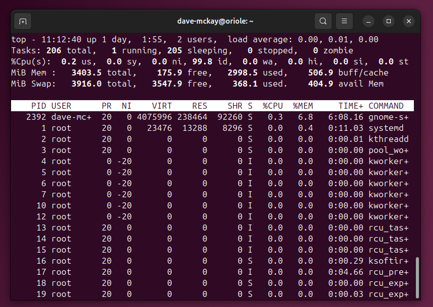 The top program running in a linux terminal window.