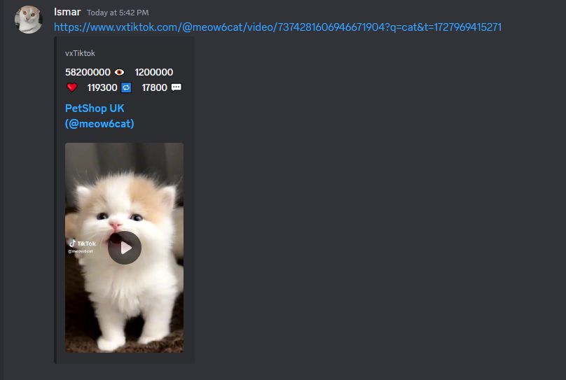 An embedded TikTok video on Discord.